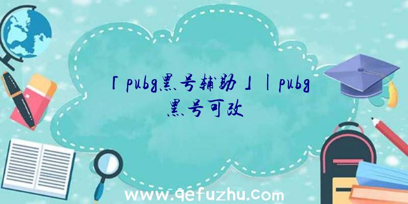 「pubg黑号辅助」|pubg黑号可改